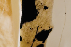Stephanie-Blundell-Found-Object-Oil-On-Cloth-