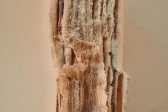 Stephanie-Blundell-Found-Object-book