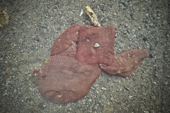Stephanie-Blundell-Found-Object-photography-Flat-Sock