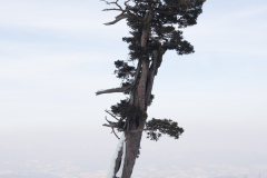 Photograph from 'Finding My Father at Yongpyong'  by Taehoon Kim