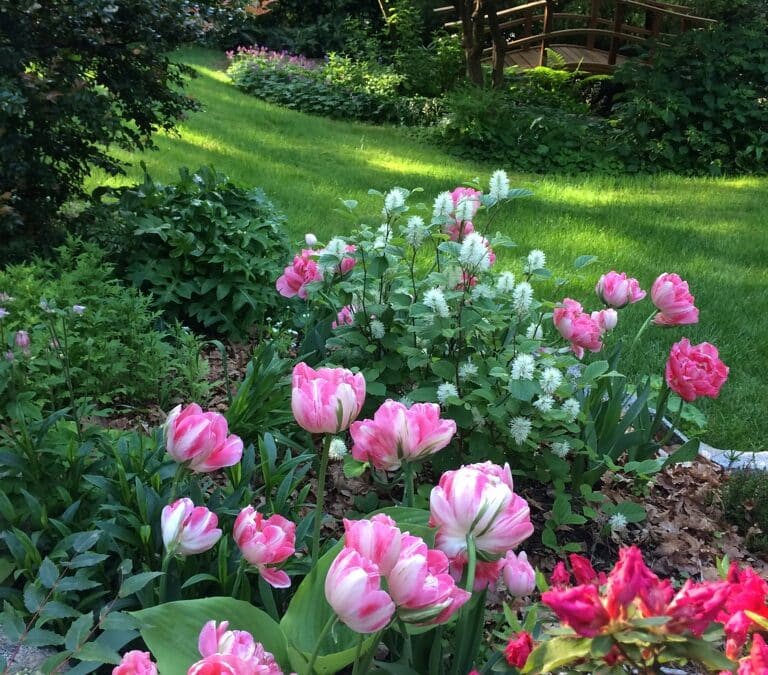 Garden 1 – Organic