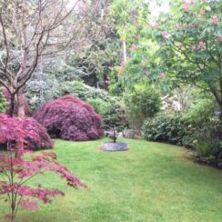 Garden 6