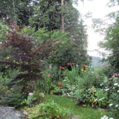 Garden 9