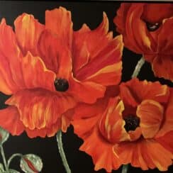 Pat Scott Gallery