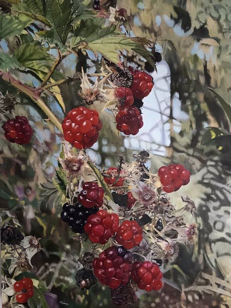 RalphBrianSears_Crown_of_ThornsOil-on_Exhibition_Canvas_48H x 36Wx1.5D