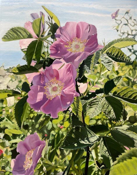 Three Wild Roses 30 inches H x 24 inches W Oil on Exhibition Canvas-1